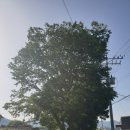 화전1리 경로당 네이버블로그