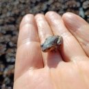 개구리목장 이미지