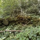 달리오름 이미지