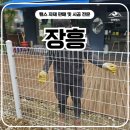 H1200 | 장흥휀스 펜스 - &#34;안성펜스 작업, 젊은 사장이 직접 만든 튼튼함의 차이&#34;