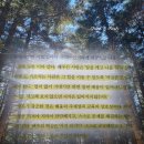 논어에서 배우는 리더의 지혜 | 다시 살아내는 힘 논어 책 | 한덕수 책 후기 | 딸을 깨운 가짜 공부의 역설 추천 리뷰 핵심 요약