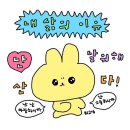 소울테크 | [웨딩밴드 추천] 센슈얼링 서촌점 Glim4, 디망쉬 가드링 구매 후기(내돈 내산⭕️)