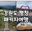 평창돌문화체험관 | 강원도 평창 청옥산 트레킹 샤스타데이지 평창올림픽 시장 돌문화체험관 관람 승우여행사