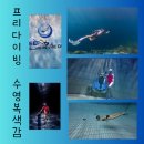 (주)제이빅엔터프라이즈 | 물옷 컬렉터의 프리다이빙 수영복 물속 색감