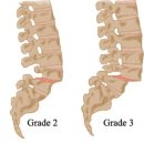 마음따뜻한방병원 이미지