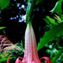 엔젤 뷰티 이미지