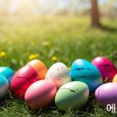 그리스도친환경 네이버블로그