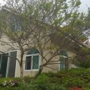 산촌2민박 이미지