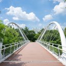 지혜샘어린이도서관 이미지