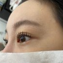 래쉬바이진