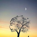 파워점핑 클럽 이미지