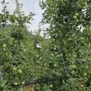 달건너농장 이미지