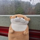 세븐일레븐 울진케이블카점 | 울진 왕피천 케이블카 | 비 오는 날 타봤는데 생각보다 괜찮았던 이유