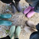 장금이야채과일 이미지