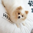 파크사이드관광호텔 이미지