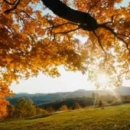 뉴그린공인중개사사무소 이미지