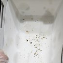 60계치킨 평택합정비전점 이미지