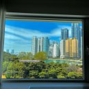 동백공원 입구 | 웨스틴조선 부산 이그제큐티브 파크킹 공원뷰 숙박 후기 해운대 호텔 추천