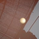 황소농장 이미지