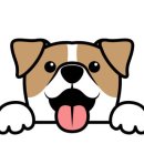 사송 동물 메디컬센터 이미지