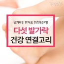 다섯발가락 이미지
