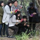 제주의 한란 이미지