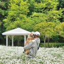 서구청소년수련관 주차장 이미지