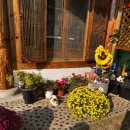 옛정 | 경주 한정식 맛집 옛정 후기｜영양솥밥·제육정식 추천