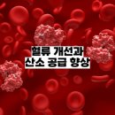 우리사우나헬스