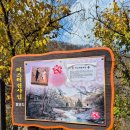 시티투어 | [안동] 봉정사·만휴정·월영교·낙강물길공원 시티투어 후기 : 뚜벅이 여행 추천