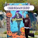 비에이치씨횡성안흥점 | 강원도 횡성 캠핑장 월현포레스트 애견동반 매점 샤워장 산책로 별 맛집 가볼만한곳