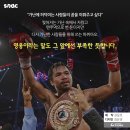 복싱의신