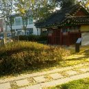 신안주씨 삼세적선비 이미지