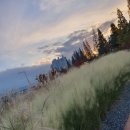 미르공인중개사사무소 이미지