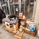 씨제이 올리브영 건대입구점 | 건대카페 : 분위기 따뜻하고 코지한 건대입구역 카페 찾으시면 카페 오캄