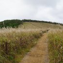 경주 무장산 & 사룡굴,단용굴 이미지