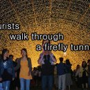 [초급] Tourists are walking through a firefly tunnel. 이미지