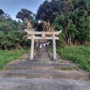 유일카서비스 | 대마도렌트카 실패 없는 선택법 렌터카업체 평점 가격 비교 한 번에 보기