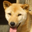 성관농장 이미지