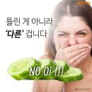 여시들 비빔밥 다 먹었으면 후식으로 화채먹자📢📢 이미지