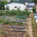 유정아트빌 이미지