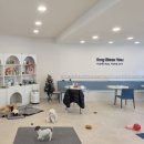 우리동네펫 이미지