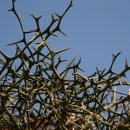 하동공원섬호정 이미지