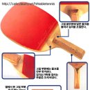 김택수탁구클럽
