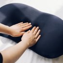 더블유비 이미지