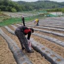 예안슈퍼 이미지