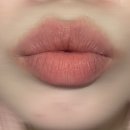 컬러그램 누디 블러 틴트 (14 딸기멜로, 15 살구라이트, 18 베리 몰리) 탕후루 탱글 틴트 밀크 (04...