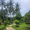 르벨 | 라오스 루앙프라방 숙소 추천 르벨 에어 리조트 조식