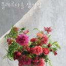 플레르다솔