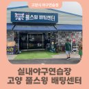 고양화전16 | 경기 고양시야구연습장 추천 고양풀스윙배팅센터 체험 후기